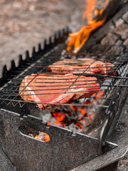 fresh grilled meat steak, steak on the fire, steak on the barbecue