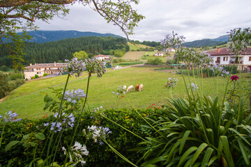 Fototapete bei efototapeten.de bestellen   