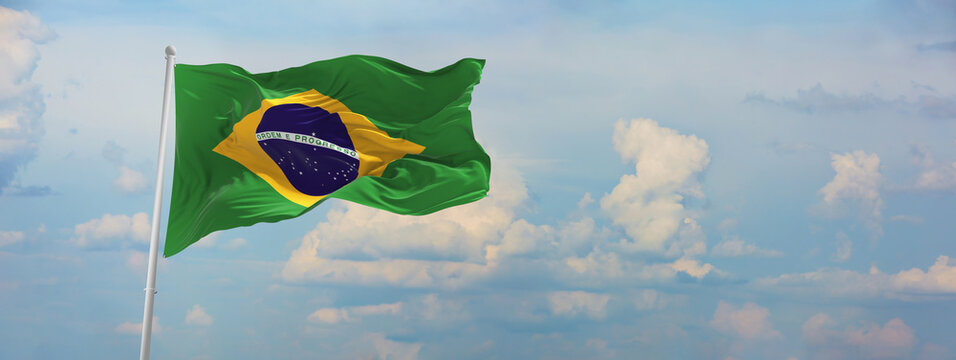 15 492 Best Brazil Flag Waving Images Stock Photos Vectors Adobe Stock