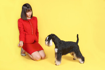woman with a dog in yellow background 