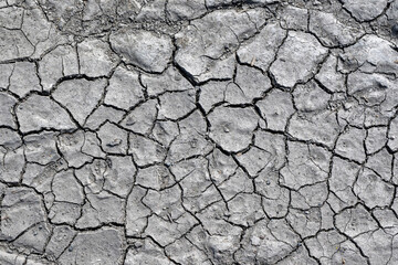 Abstract Background-dried cracked mud