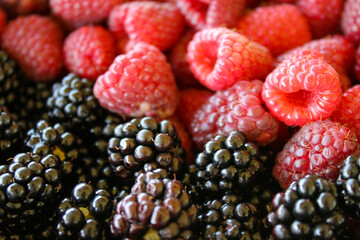 Blackberries up close, raspberries in the background blurred. Blackberries and raspberries. Blackberry fruit.