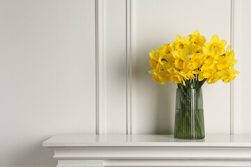Beautiful daffodils in vase on table near white wall indoors, space for text