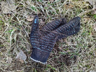 old and dirty working black glove in the woods
