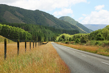 Fototapeta na wymiar Gowan Valley road - New Zealand
