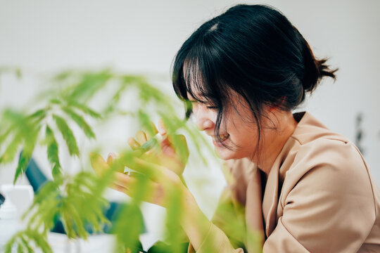 髪を結う Images – Browse 94 Stock Photos, Vectors, and Video | Adobe Stock
