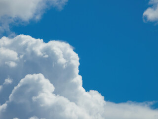 Naklejka na ściany i meble Blue sky with layer of fluffy cumulus clouds