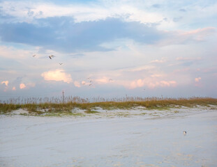white sand on gulf beach at sunset