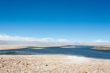 Flamingo natural reserve, Chile