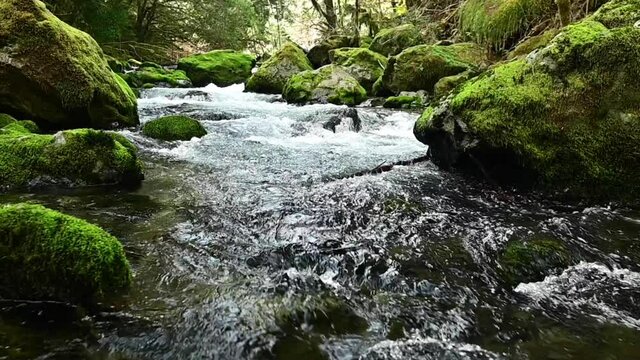 Elk river flowing through rocks in pristine nature, Oregon. Zoom out