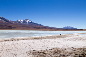 Fototapeta na wymiar Laguna Hedionda view, Bolivia