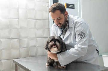 male veterinarian checking up the dog at the veterinarian clinic