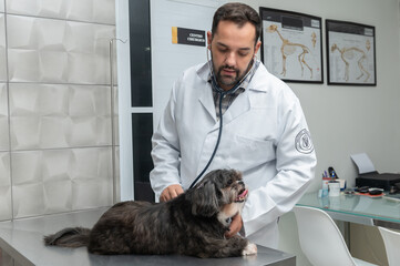 male veterinarian checking up the dog at the veterinarian clinic