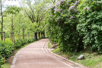 Fototapeta premium Small stone park path. Beautiful path with planted large trees. Dry creek along the path.