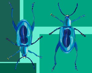 set of watercolor drawing insects, cartoon beetle multicolor doodle, hand drawn illustration