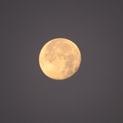 La luna, vista a las 7 am.