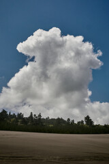 Obraz na płótnie Canvas clouds over trees