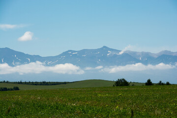 Fototapeta premium 草原と夏山 