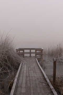 A wildlife viewing deck on a frosty, foggy morning in the Klamath Wildlife Area on the Klamath River, Oregon.