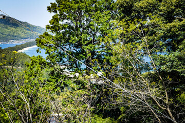 天橋立周辺を散策する