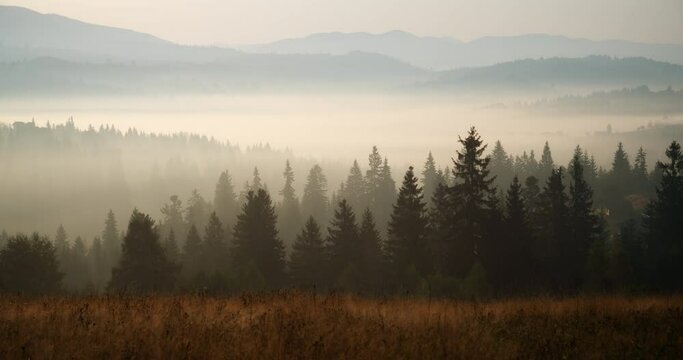 Carpathians in early summer morning. Time lapse