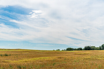 Obraz premium Farm field