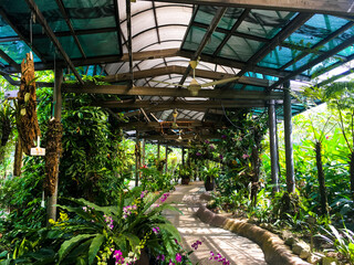 Obraz premium Perdana Botanical Garden, Kuala Lumpur, Malaysia