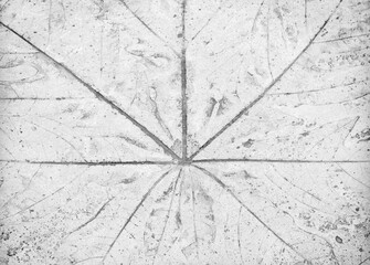 Marks of leaf on gray concrete texture abstract for background