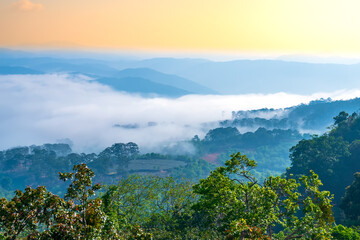 Dawn on plateau in morning covered by fog below, landscape so beautiful idyllic countryside Da Lat plateau, Vietnam