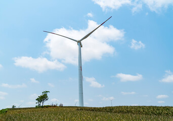 Fototapeta premium Windmills on the field generating electricity