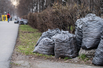 Black garbage bags in the city park. Cleaning of the territory in the spring. 