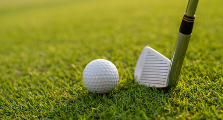 Golf club and white golf balls on green grass for golfer training with blur golf course background,green tree sun rays.