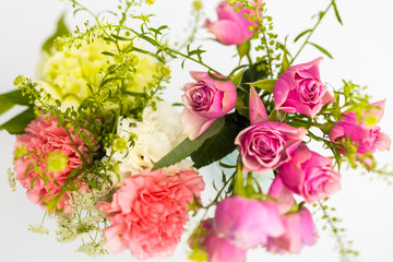 バラの花　Beautiful rose flower just bloomed