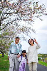 Fototapeta premium 祖父母と元気に登校する小学生の女の子