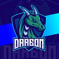 dragon character mascot e-sport logo design