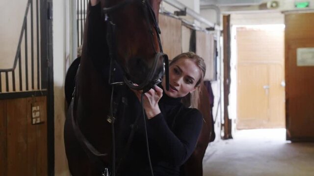 Equestrian - a woman in black clothes putting a harness of the muzzle of the horse