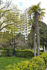 Seaside Park in the spring. Public city park with beautiful walking paths, palm trees, tropical vegetation, landscape design. Tall hotel building against the blue sky. Yalta, Crimea.