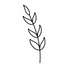 Sprig of plant for decorating postcard. Vector illustration in doodle style.