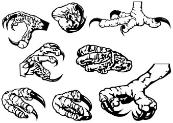 Black and White Set of Eagle Claws - Eight Black Illustration Isolated on White Background