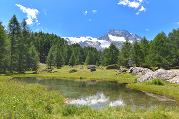 Fototapeta na wymiar view on a little lake in scenic landscape in alpine mountain with glacier background and a fir forest