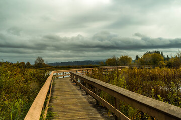 Silver Lake Castle Rock Wetland Boardwalk in Cowlitz County, Washington Mt St Helens Visitor Center