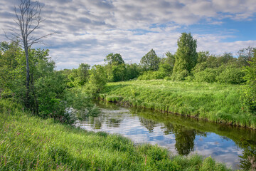 Summer forest landscape with a river in the water of which white sky clouds are reflected. On the banks of the river there is a lot of lush green grass with flowers and trees Ural (Russia) late spring