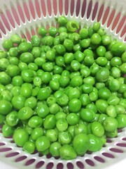 グリンピース　グリーンピース　豆　マメ　