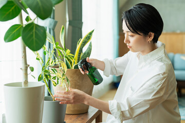 出勤前に観葉植物に水をやる女性