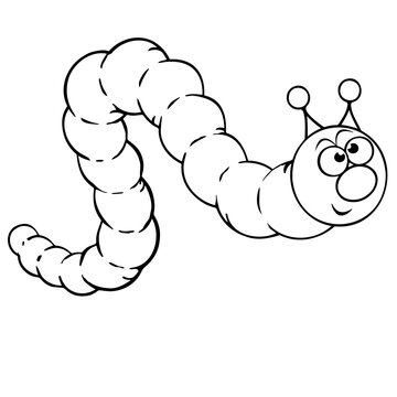 Caterpillar. Insect larva close-up on a white background. Vector graphics. Material for printing.