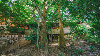 Beautiful temple in thailand.