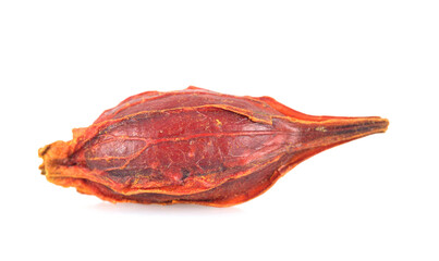 Gardenia fruit on white background