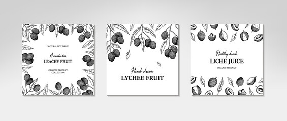 Set of hand drawn lychee designs for packaging, banners, advertising, newsletters. Vector illustration in sketch style