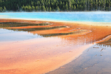 Geyser in Yellowstone National Park, Wyoming, USA