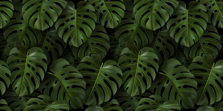 Botanical illustration with tropical green 3D leaves Monstera on dark background. Realistic seamless pattern for textile, hawaiian style, wallpaper, sites, card, fabric, web design. template. © VDNKL